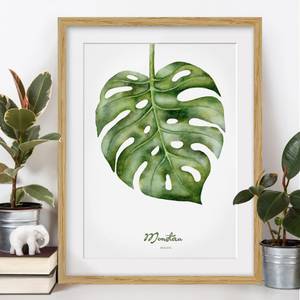 Afbeelding Aquarel Botanica Monstera IV deels massief eikenhout- eikenhout - 70 x 100 cm