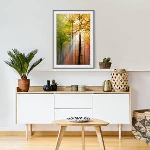 Bild Morning Light III Kiefer teilmassiv - Grau - 70 x 100 cm