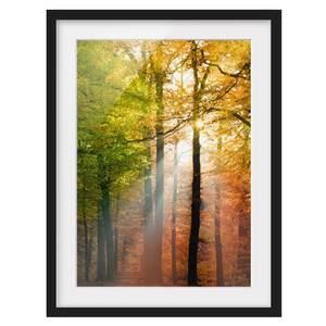 Afbeelding Morning Light I deels massief grenenhout - zwart - 70 x 100 cm