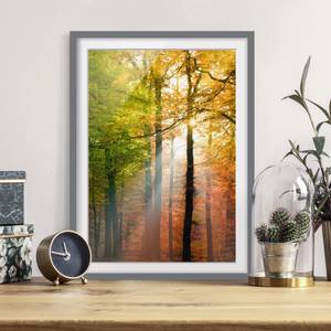 Bild Morning Light III Kiefer teilmassiv - Grau - 40 x 55 cm