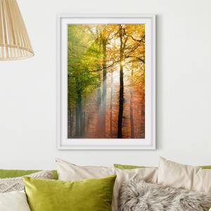 Bild Morning Light II Kiefer teilmassiv - Weiß - 70 x 100 cm