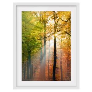 Afbeelding Morning Light II deels massief grenenhout - wit - 50 x 70 cm