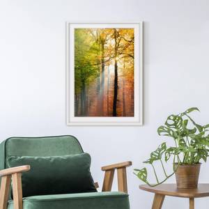 Afbeelding Morning Light II deels massief grenenhout - wit - 50 x 70 cm