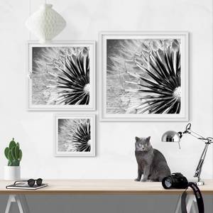 Afbeelding Paardenbloem Zwart & Wit II deels massief grenenhout - wit - 70 x 70 cm
