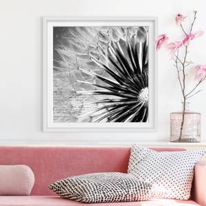 Tableau déco pissenlit noir et blanc II Partiellement en pin massif - Blanc - 50 x 50 cm