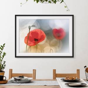 Bild Mohnblumen am Morgen I Kiefer teilmassiv - Schwarz - 40 x 30 cm