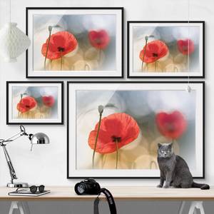 Tableau déco coquelicots le matin I Pin massif - Noir - 40 x 30 cm