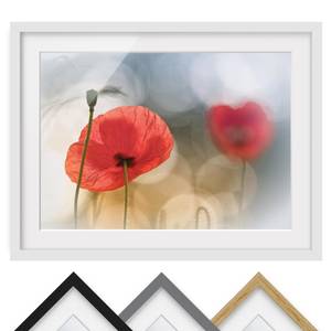 Bild Mohnblumen am Morgen II Kiefer teilmassiv - Weiß - 55 x 40 cm