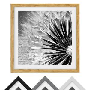 Afbeelding Paardenbloem Zwart & Wit IV deels massief eikenhout- eikenhout - 70 x 70 cm