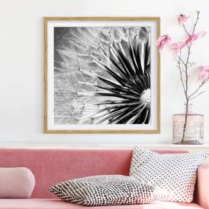 Afbeelding Paardenbloem Zwart & Wit IV deels massief eikenhout- eikenhout - 70 x 70 cm