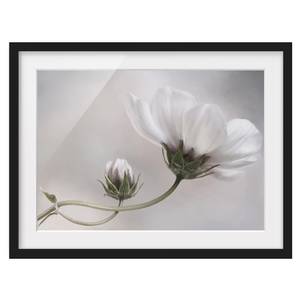 Afbeelding Simply Cosmos I deels massief grenenhout - zwart - 40 x 30 cm