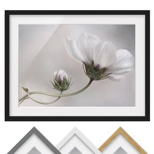 Afbeelding Simply Cosmos I deels massief grenenhout - zwart - 40 x 30 cm