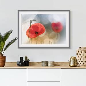 Bild Mohnblumen am Morgen III Kiefer teilmassiv - Grau - 100 x 70 cm