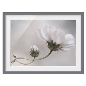 Afbeelding Simply Cosmos III deels massief grenenhout - grijs - 55 x 40 cm