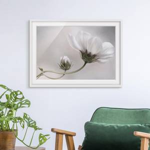 Afbeelding Simply Cosmos II deels massief grenenhout - wit - 100 x 70 cm