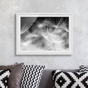 Tableau déco pissenlit II Partiellement en pin massif - Blanc - 100 x 70 cm