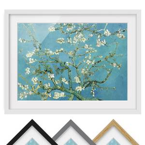 Impression d’art fleurs d’amandier VI Partiellement en pin massif - Blanc - 55 x 40 cm