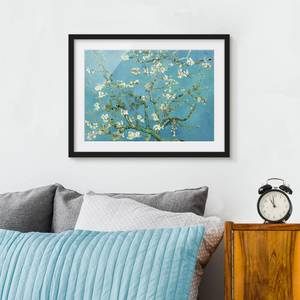 Impression d’art fleurs d’amandier V Pin massif - Noir - 100 x 70 cm