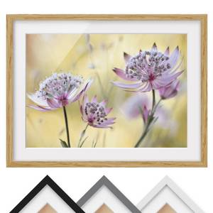 Afbeelding Astrantia Major IV deels massief eikenhout- eikenhout - 100 x 70 cm