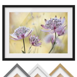 Afbeelding Astrantia Major I deels massief grenenhout - zwart - 55 x 40 cm