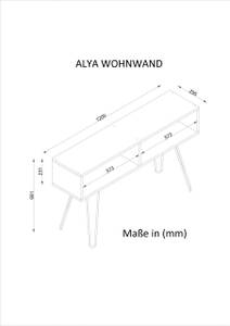 TV Lowboard Alya mit Metallfüße Grau - Holzwerkstoff - 120 x 68 x 29 cm