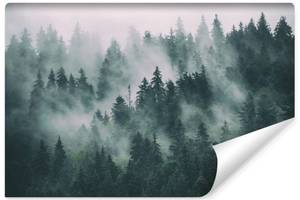 Fototapete WALD IM NEBEL Landschaft 3D 368 x 254 x 254 cm