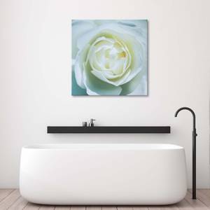Leinwandbild Weiße Rosenblüte Natur 30 x 30 cm