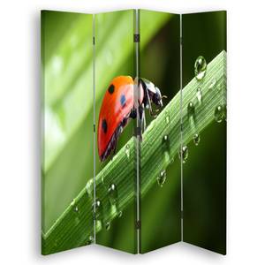 Paravent Ladybird 145 x 170 cm