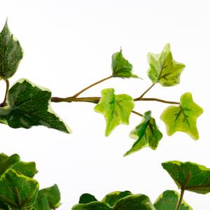 Plante artificielle suspendue Efeu Verre blanc - Vert