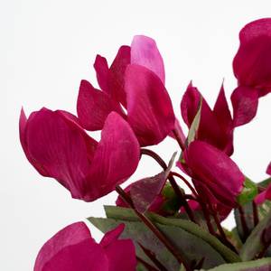 Plante artificelle Cyclamen 30 x 30 x 30 cm