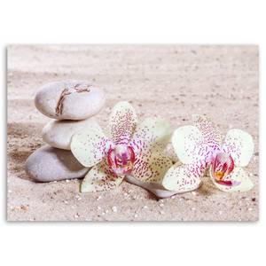 Leinwandbilder Orchideen Zen Spa Steine 60 x 40 cm