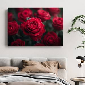 Bild Rose Blumen VII 100 x 70 cm