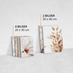 Leinwandbilder Set Pflanzen Zitat Natur Beige - Braun - Weiß - Textil - 90 x 80 x 80 cm