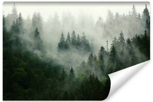 Fototapete Wald im Nebel Landschaft 3D 400 x 280 x 280 cm