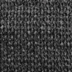 Voile solaire 3006391-1 Anthracite - 200 x 200 cm