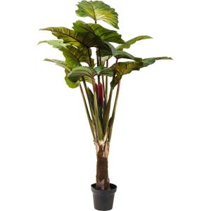 Plante décorative Rainbow Tree Vert - Matière plastique - 50 x 160 x 50 cm