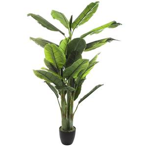 Künstliche Pflanze JJ085 Grün - Kunststoff - 168 x 168 x 116 cm