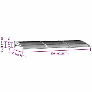 Auvent de porte 297500-4 100 x 300 cm