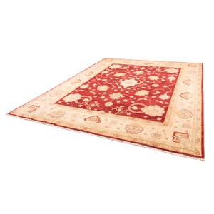 Ziegler Teppich - 310 x 243 cm - rot Rot - Kunststoff - 243 x 1 x 310 cm