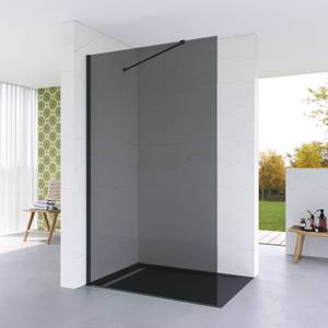 Walk-In Dusche Grauglas GWALAS Breite: 120 cm