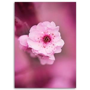 Leinwandbild Rosa Blumen 40 x 60 cm