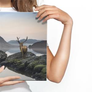 Leinwandbild Hirsch See Landschaft 3D 40 x 30 x 30 cm