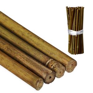 Pflanzstäbe 20 cm im 50er Set Braun - Bambus - 1 x 20 x 1 cm