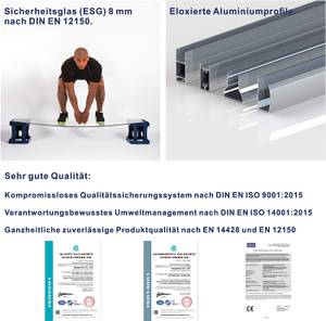 Duschtrennwand GWALAS Silber - Glas - 80 x 140 x 0 cm