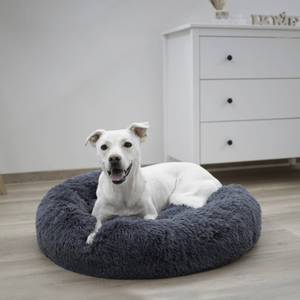 Lit pour chien 3018341 Gris - Matière plastique - 60 x 18 x 60 cm