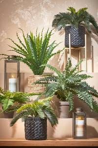 Plante artificielle Cycas-Palme 34 x 33 x 34 cm