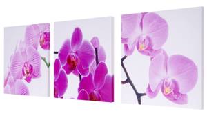 Leinwandbild T376 Orchidee (3-teilig) Holzart/Dekor - Holz teilmassiv - 150 x 50 x 2 cm
