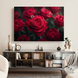 Bild Rose Blumen VII 70 x 50 x 70 cm