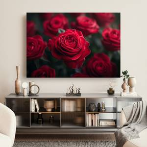 Bild Rose Blumen VII 100 x 70 cm