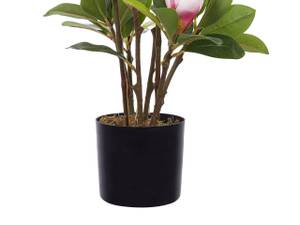 Plante artificielle MAGNOLIA Noir - Vert - Matière plastique - 35 x 70 x 35 cm